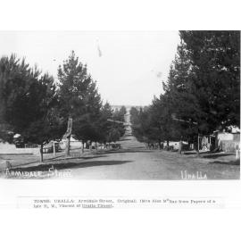 Don Duncan's Butcher, Joe Cooper's Royal Hotel and the  Oddfellows Hall, Armidale Street, Uralla