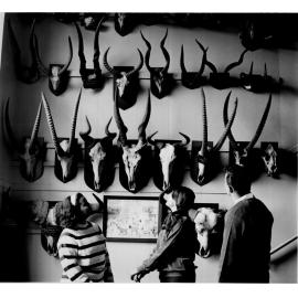 Students admiring the 'Antlers Collection' at the bottom of the eastern stairway
