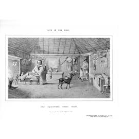 The Squatter's First Home