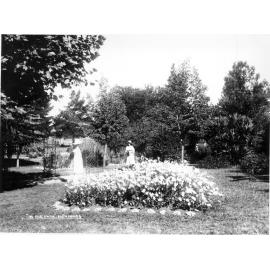 In the Park, Glen Innes