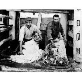 Blade shearing at Berrico Station