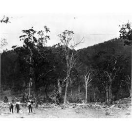 Scene at George's Creek after violent storm