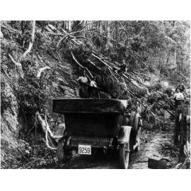 George's Creek, Hillgrove, NSW