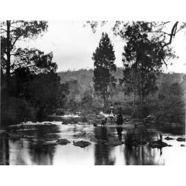 A tranquil scene amid the river oaks of Oaky River, c. 1915