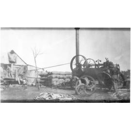 Chaff cutting by steam power on Oscar Perry's property "Tanglewood" (on old Inverell Road) Dumaresq