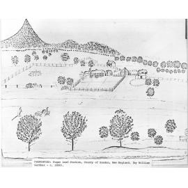 Sugar Loaf Station, County of Sandon, New England, New South Wales, by William Gardner