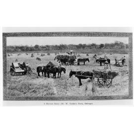 "Twixt Tablelands and Plains", c. 1917. A Harvest Scene - Mr. W. Tonkin's Farm, Delungra