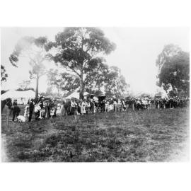 Picnic scene, Guyra, NSW