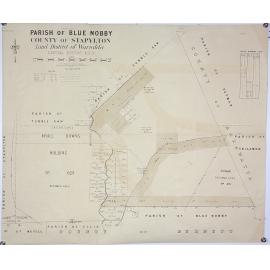 Parish of Blue Nobby County of Stapylton Land district of Warialda -shows T.S.R , 1891