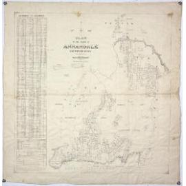 Plan of the Parish of Annandale, New England Mining district, 1886