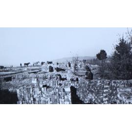 Demolition of the Gaol and some scenes in the early construction of the College