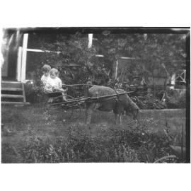 Two unidentified children sitting in a small cart drawn by a sheep