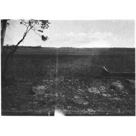 Unidentified paddock