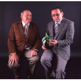 Fred Roberts and John [Stainton] in studio with sapling, 1992