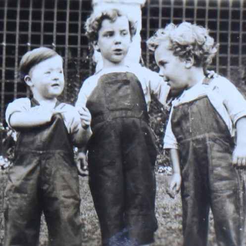 Saumarez Photographic Albums