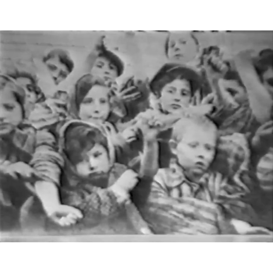 David Cole interviews Dr Franciszek Piper