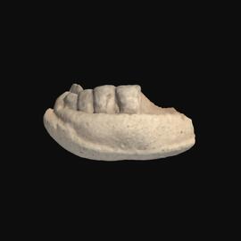 MA1978.94.5 Male head figurine fragment