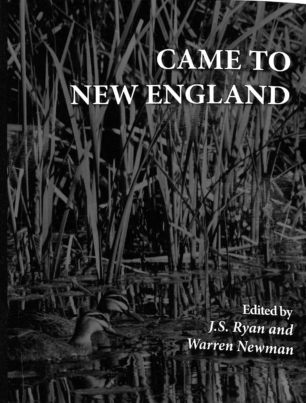 Came to New England