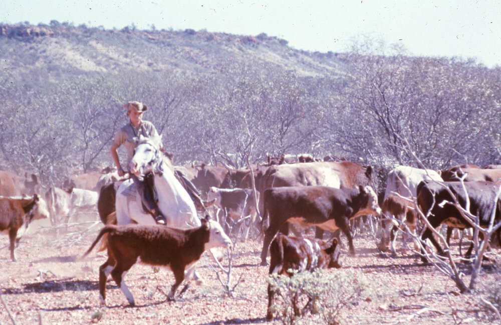 Mustering [1958], [C1042-4]