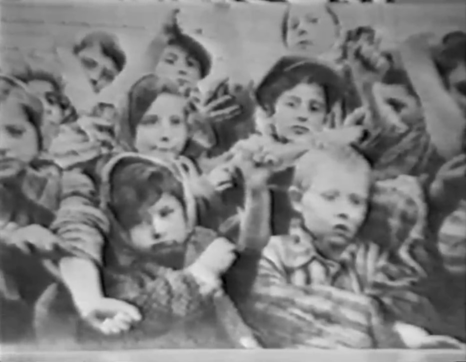 David Cole interviews Dr Franciszek Piper